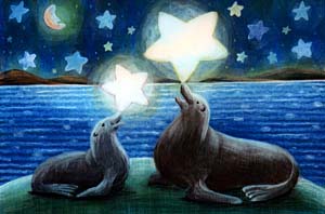 Sea Lions