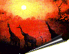 warning3-gallery3